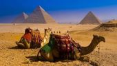 Бизнесмены из Египта заинтересованы в налаживании отношений с Казахстаном