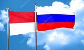 Владимир Путин провел телефонный разговор с коллегой из Индонезии