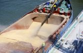  Минсельхоз повысил прогноз экспорта зерна из РФ из-за ситуации на Украине