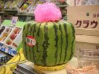Десять самых дорогих продуктов питания в Японии