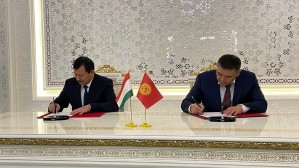Состоялось заседание правительственных делегаций по делимитации и демаркации кыргызско-таджикской госграницы