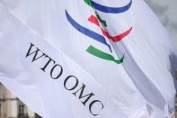 ВТО уличила страны G20 в мерах, которые вредят мировой экономике