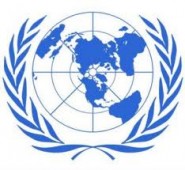 Бразилия и Германия внесли в ООН проект резолюции против шпионажа