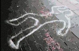 Россия потребовала от Грузии экстрадиции обвиняемого в убийстве супругов Вишерневых